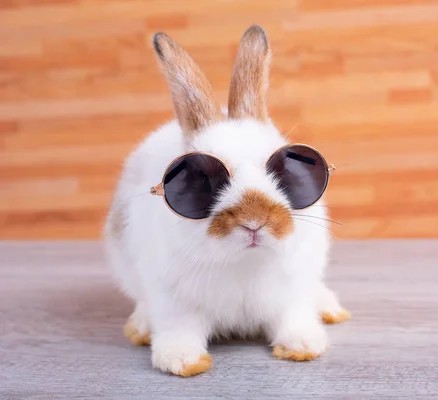 Lentes