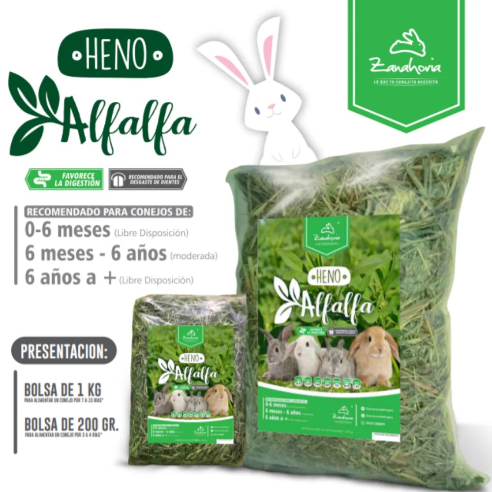 Alfalfa