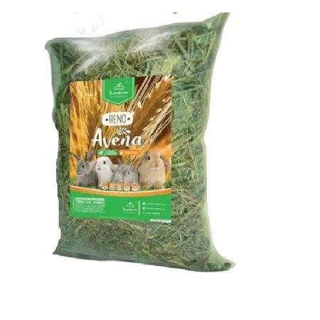 Avena